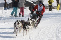 Lenk 2012 SM